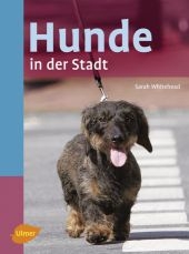 Hunde in der Stadt - Sarah Whitehead