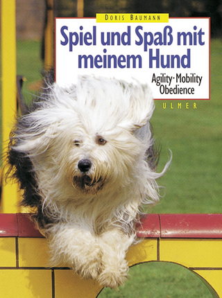 Spiel und Spass mit meinem Hund