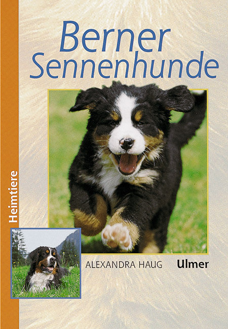 Berner Sennenhunde - Alexandra Haug