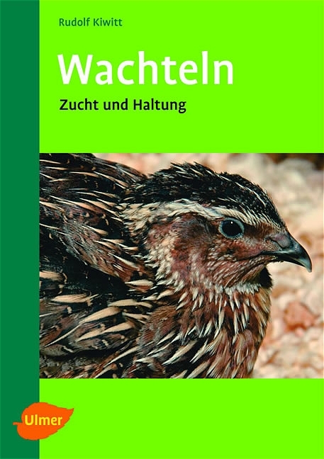 Wachteln - Rudolf Kiwitt