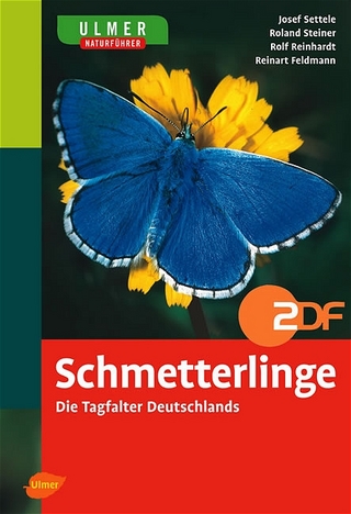 Schmetterlinge