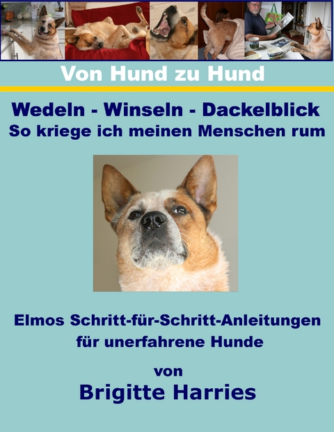 Von Hund zu Hund - Wedeln-Winseln-Dackelblick - So kriege ich meinen Menschen rum - Brigitte Harries