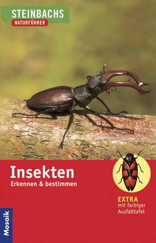 Insekten