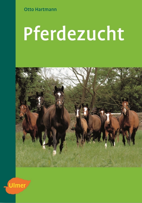 Pferdezucht - Otto Hartmann