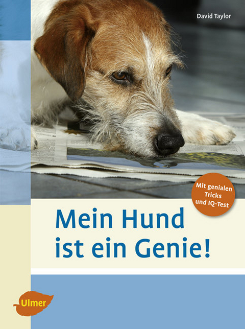 Mein Hund ist ein Genie! - David Taylor