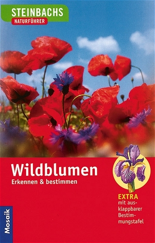 Wildblumen