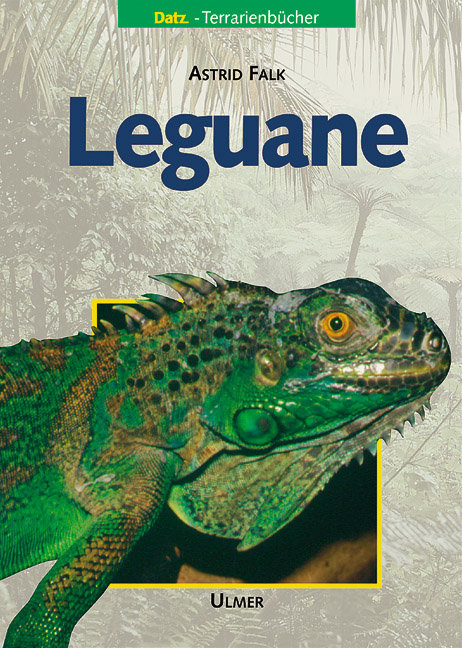 Leguane - Astrid Falk