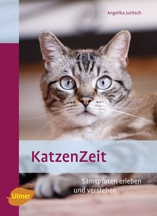 KatzenZeit