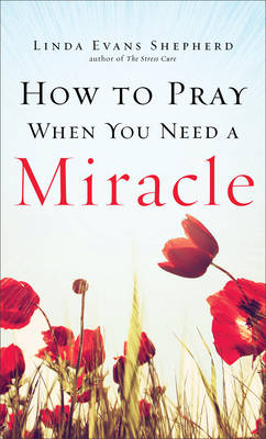 How to Pray When You Need a Miracle - Linda Evans Shepherd