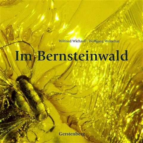 Im Bernsteinwald - Wolfgang Weitschat, Wilfried Wichard