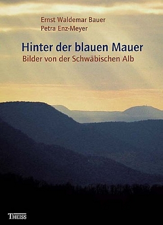 Hinter der blauen Mauer