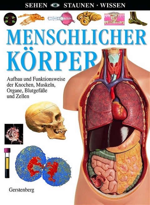 Menschlicher K&ouml;rper