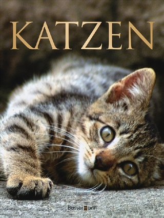 Katzen