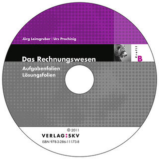 Das Rechnungswesen B - Bärenstark