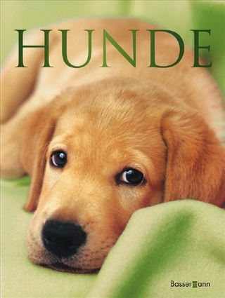 Hunde