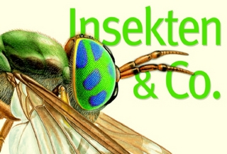 Insekten & Co.
