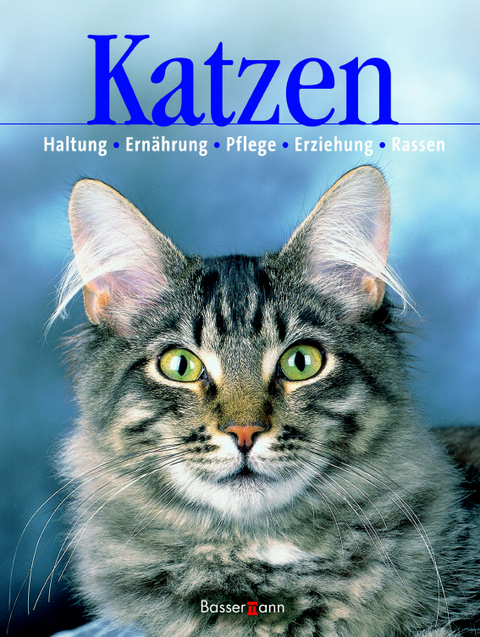 Katzen