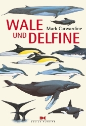 Wale und Delfine