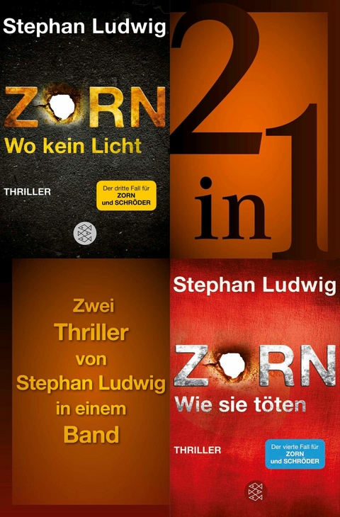 Wo kein Licht / Wie sie t&ouml;ten - Zwei Zorn-Thriller in einem Band - Stephan Ludwig