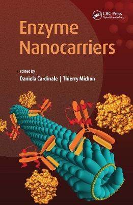 Enzyme Nanocarriers - 