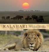 Kalahari - Wildes Afrika