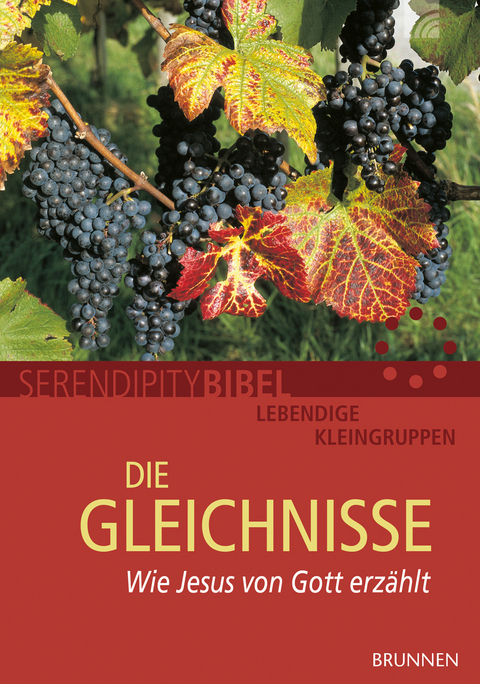 Die Gleichnisse -  Serendipity bibel, Frank Grundm&uuml;ller