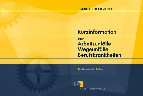 Kurzinformation &uuml;ber Arbeitsunf&auml;lle - Wegeunf&auml;lle - Berufskrankheiten - Heinz Schieke, Heike Braunsteffer