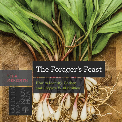 The Forager's Feast - Leda Meredith