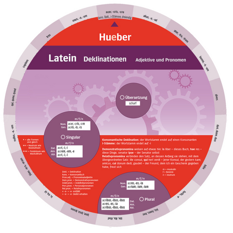 Wheel &ndash; Latein &ndash; Deklinationen - 