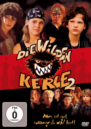 Die Wilden Kerle 2, 1 DVD