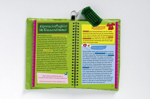 Survival-Handbuch Schule - Anita van Saan