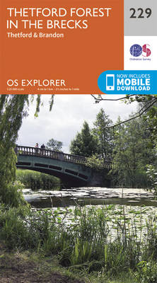 Thetford Forest in the Brecks