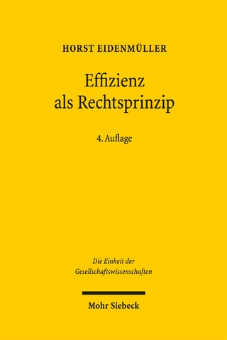 Effizienz als Rechtsprinzip