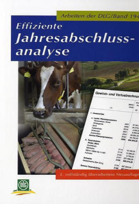 Effiziente Jahresabschlussanalyse