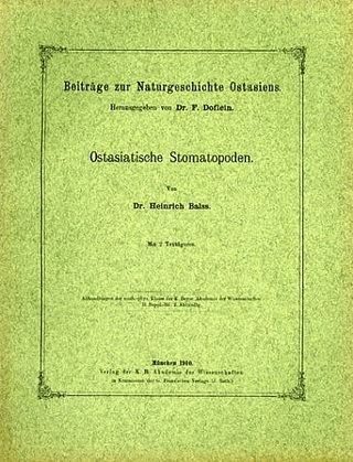 Ostasiatische Stomatopoden