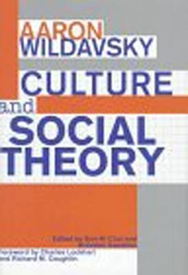 Culture and Social Theory - Aaron Wildavsky