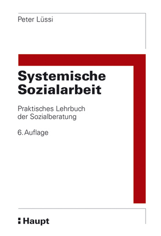 Systemische Sozialarbeit