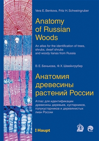 An anatomy of Russian wood