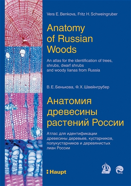 An anatomy of Russian wood - Vera Benkova, Fritz H Schweingruber