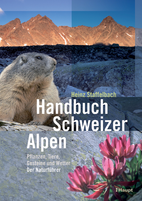 Handbuch Schweizer Alpen - Heinz Staffelbach
