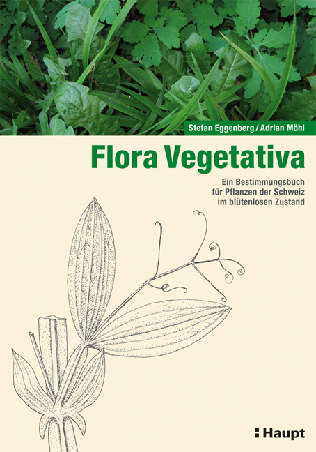 Flora Vegetativa - 