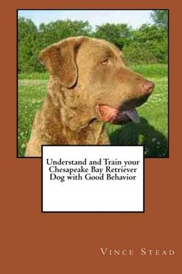 Understand and Train Your Chesapeake Bay Retriever Dog with Good Behavior
