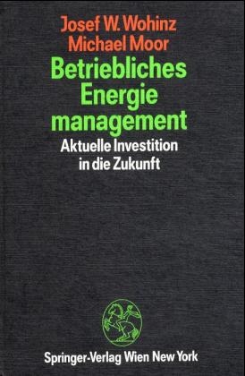 Betriebliches Energiemanagement - Josef W. Wohinz, Michael Moor