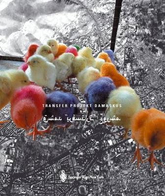 Transfer Projekt Damaskus - 