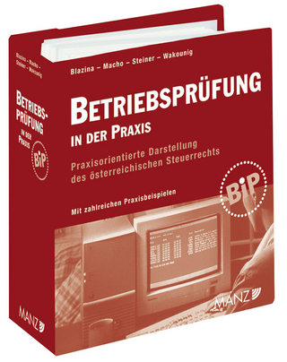 Betriebsprüfung in der Praxis