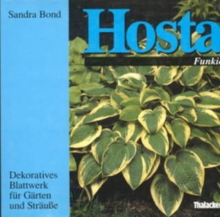 Hosta