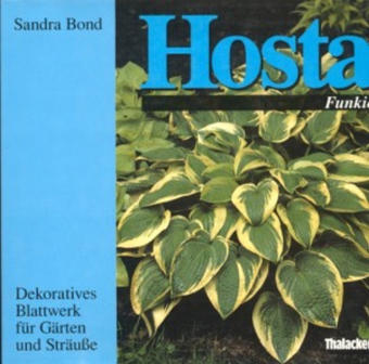Hosta - Sandra Bond