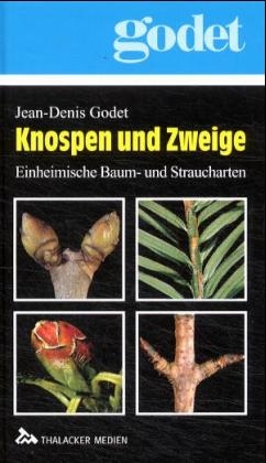 Knospen und Zweige