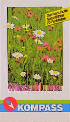Wiesenblumen - Christine Jaitner