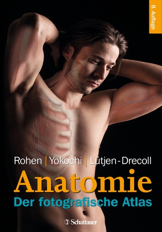 Anatomie